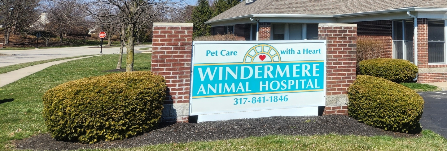Windermere Animal Hospital