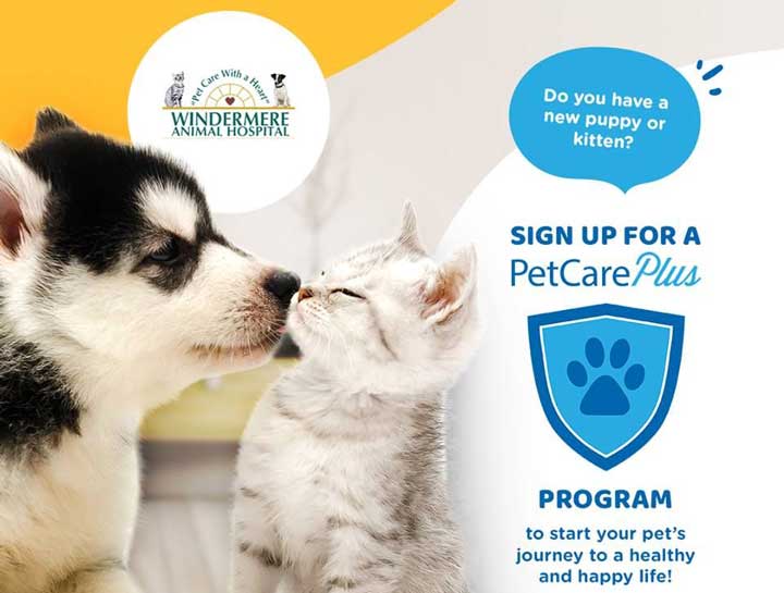 Pet Care Plus